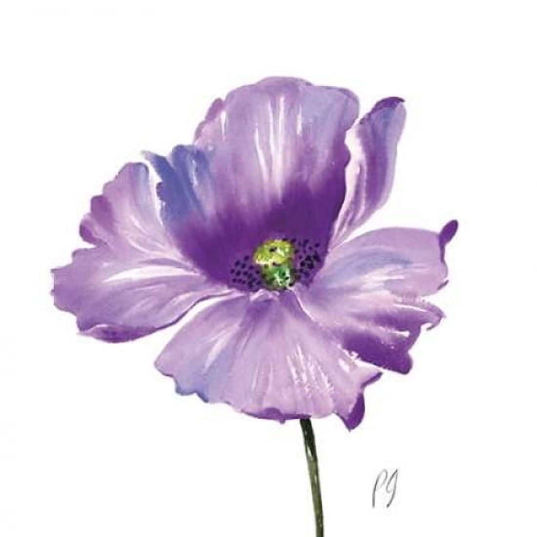 Poppies Tempo IV Canvas Art - Pamela Gladding (24 x 24)