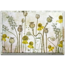 Poppies and Helenium Distressed Frame