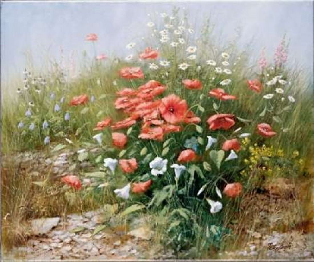Poppies and friends Canvas Art - Peter Motz (20 x 24)