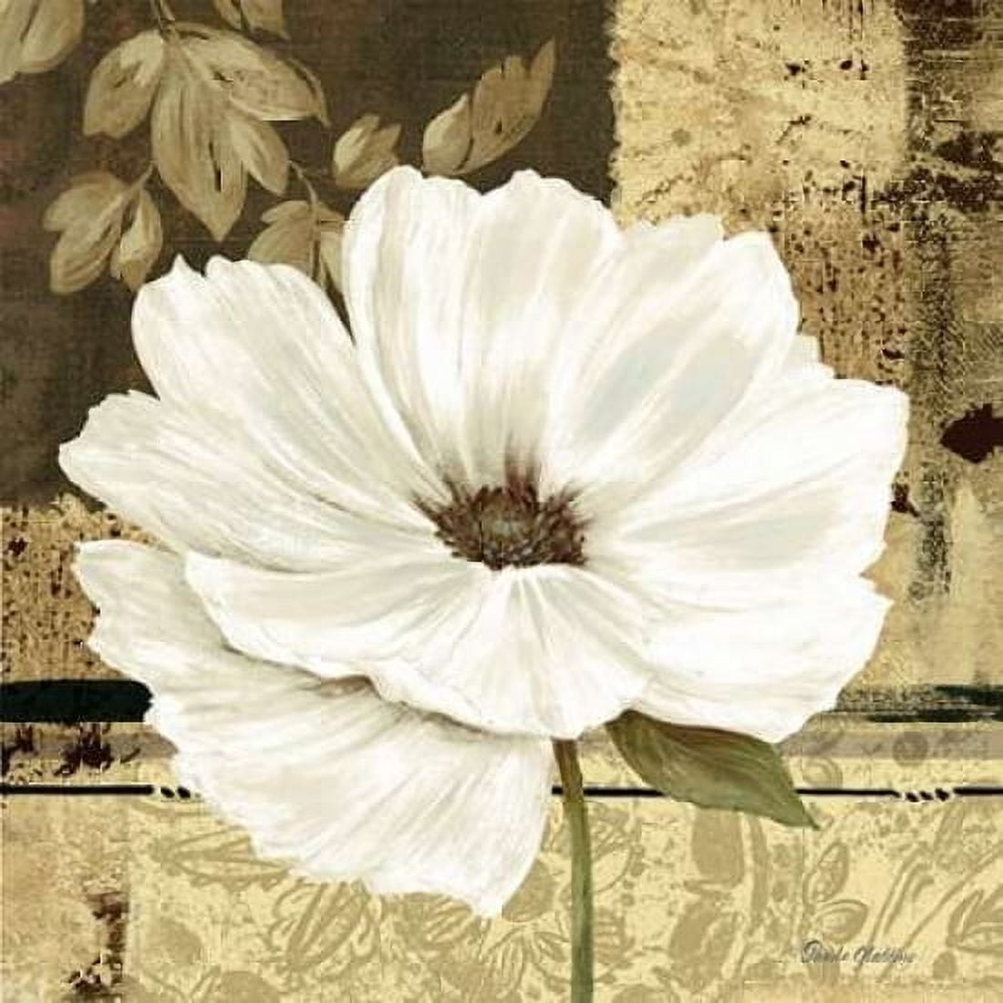 Poppies in Grey I Canvas Art - Pamela Gladding (24 x 24)