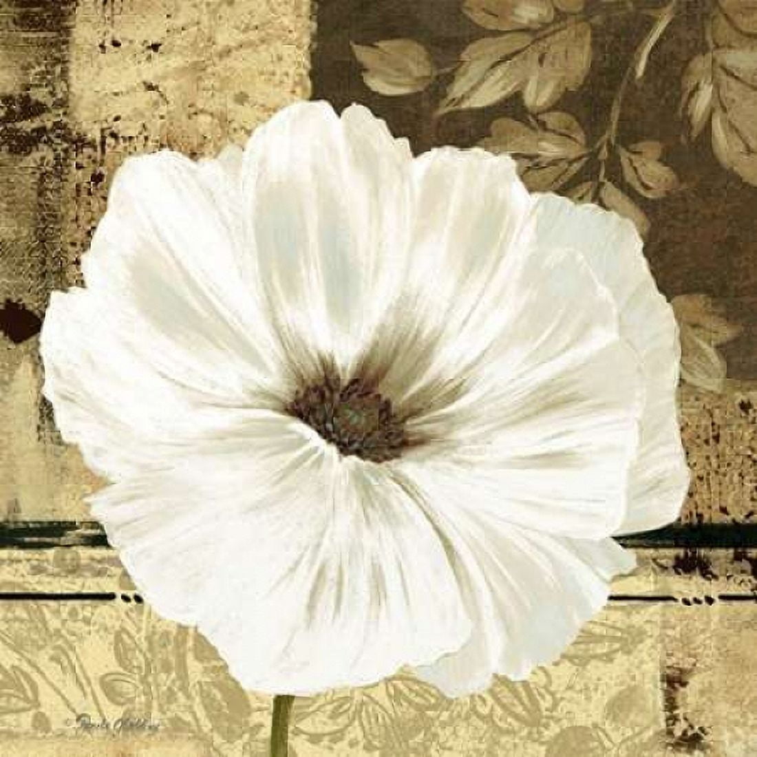 Poppies in Grey II Canvas Art - Pamela Gladding (24 x 24)