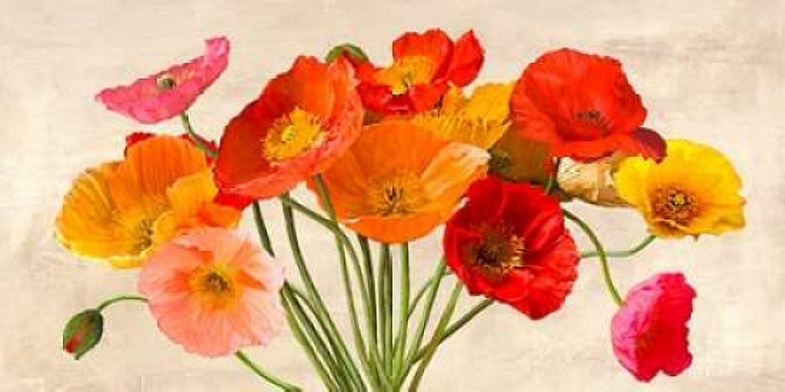 Poppies in Spring Canvas Art - Luca Villa (10 x 20)