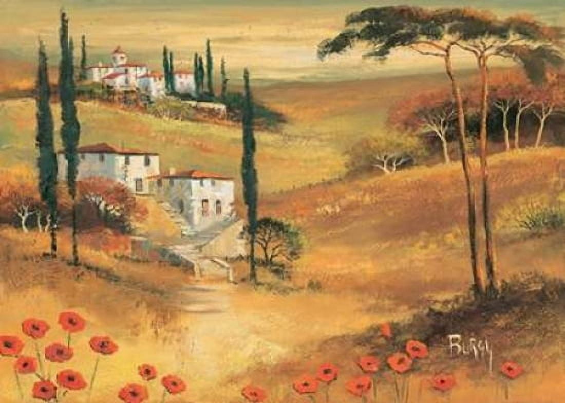 Poppies in Tuscany II Canvas Art - Burgy (20 x 28)