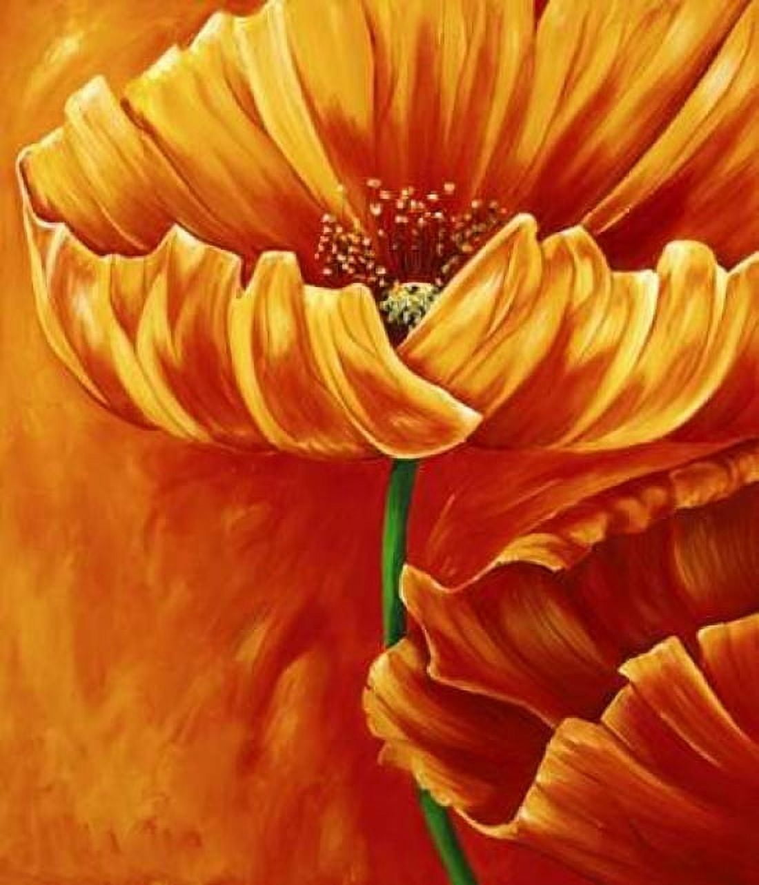 Poppies in bloom I Canvas Art - Beatrix Frederiks (24 x 24)