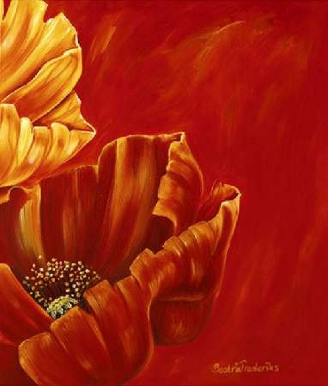 Poppies in bloom II Canvas Art - Beatrix Frederiks (24 x 24)