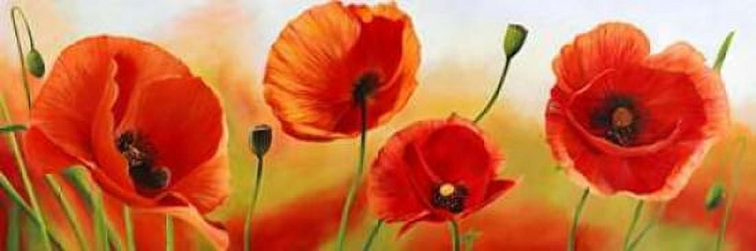 Poppies in the wind Canvas Art - Luca Villa (12 x 36)
