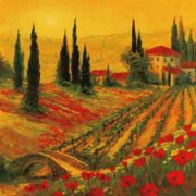 Poppies of Toscano I Canvas Art - Art Fronckowiak 24 x 24