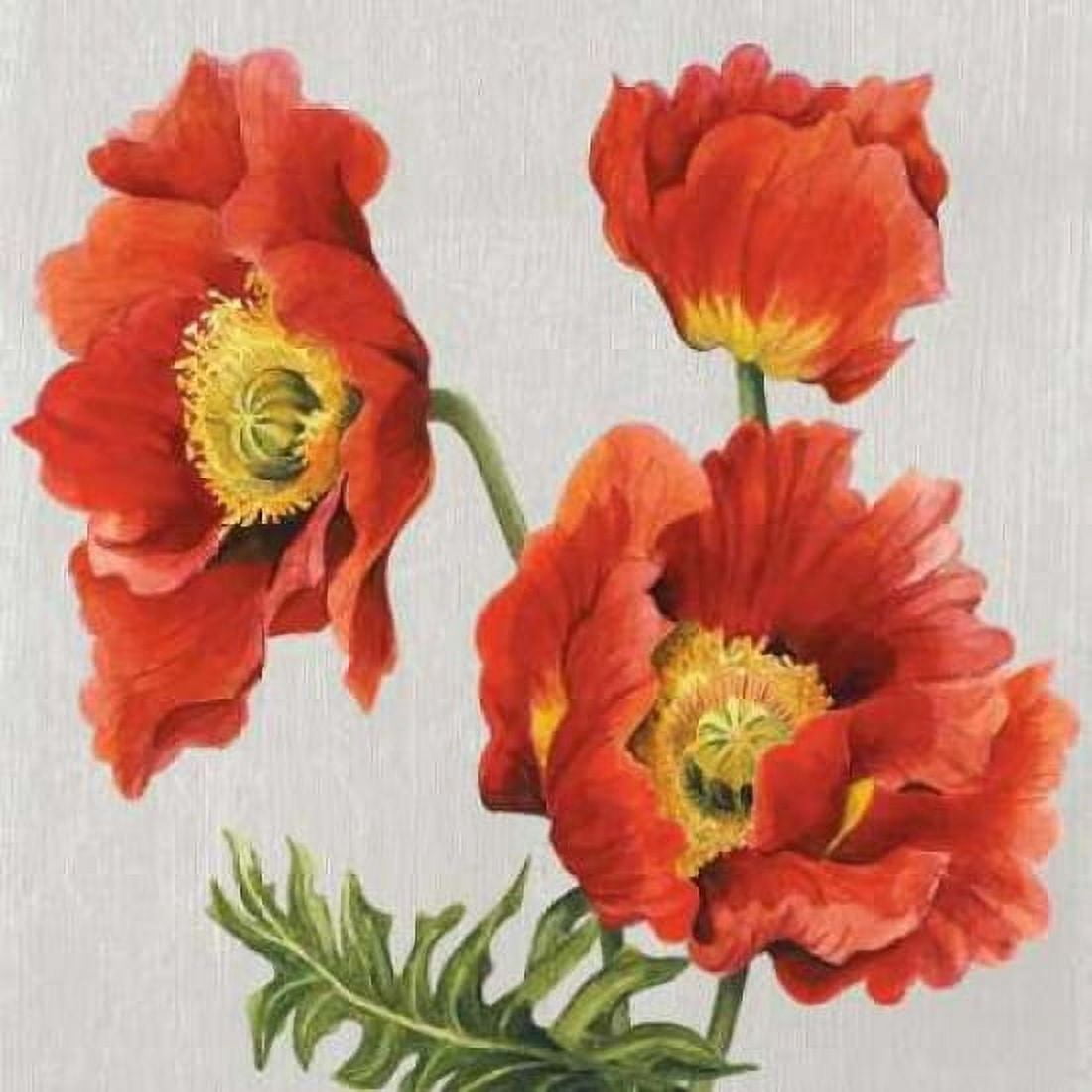Poppies on Silk Canvas Art - Judy Shelby (24 x 24)