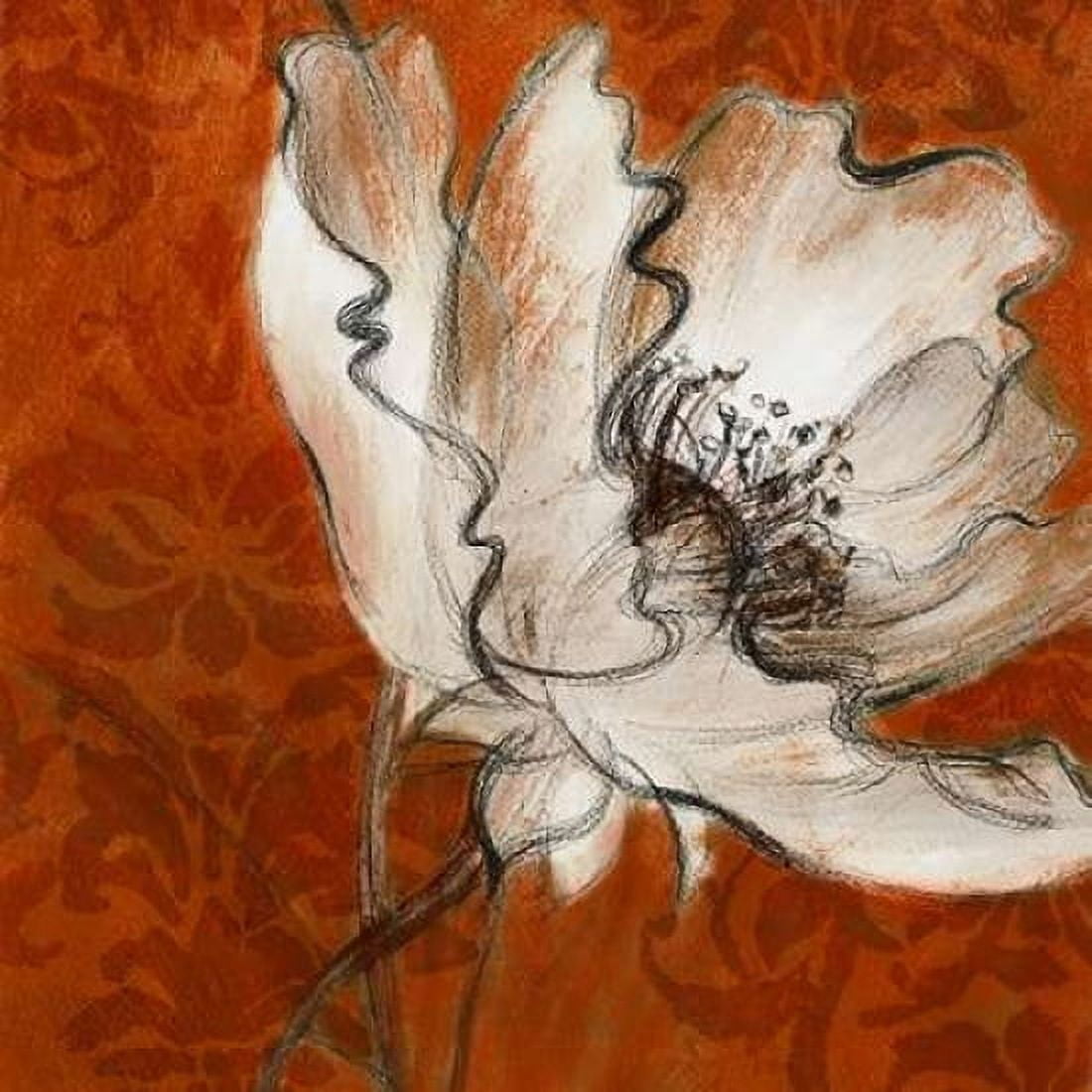 Poppies with Spice Canvas Art - Lanie Loreth (24 x 24)
