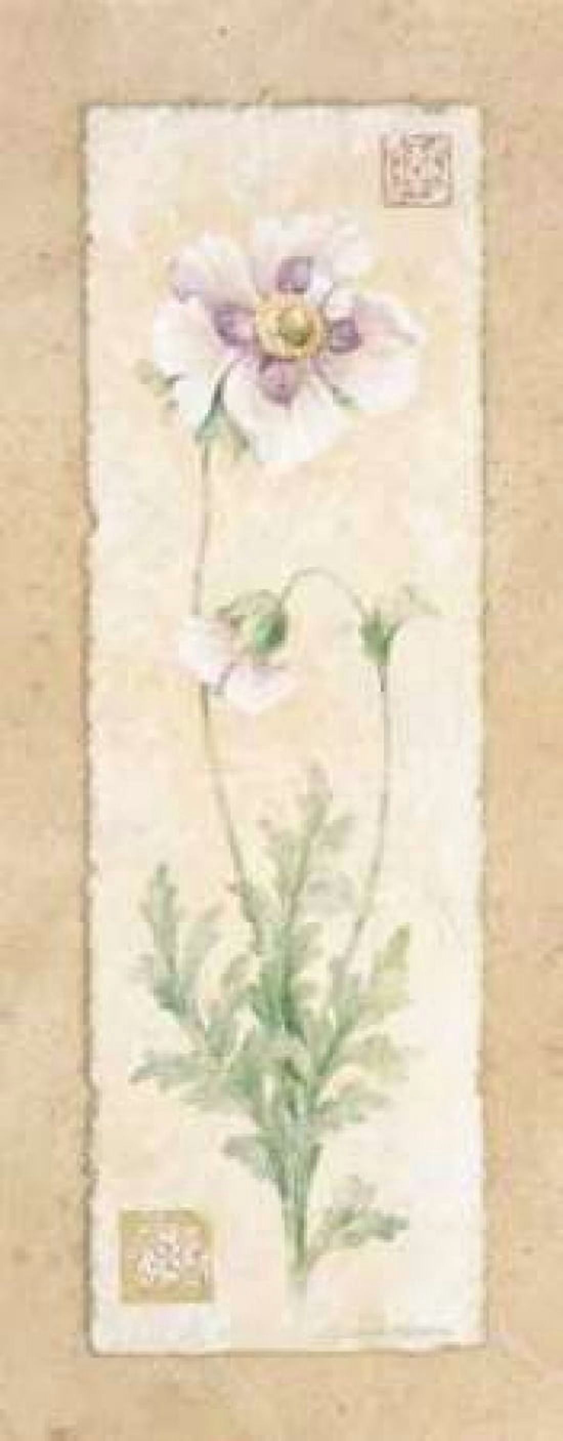 Poppy Canvas Art - Pamela Gladding (10 x 20)
