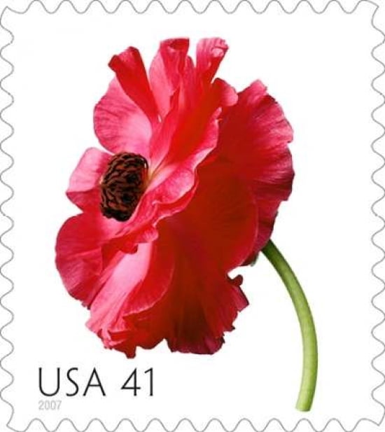Poppy Canvas Art - US POSTAL SERVICE (24 x 24)
