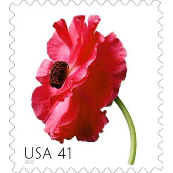 Poppy Canvas Art - US POSTAL SERVICE (24 x 24)