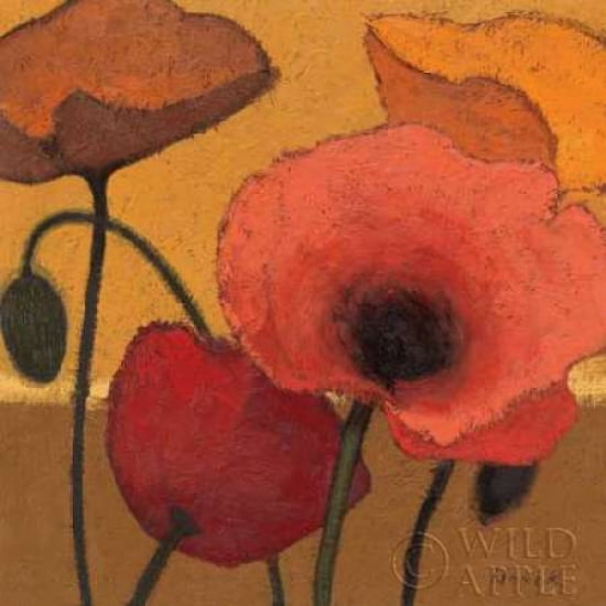 Poppy Curry I Canvas Art - Shirley Novak (24 x 24)