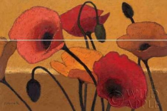 Poppy Curry III Canvas Art - Shirley Novak (12 x 18)