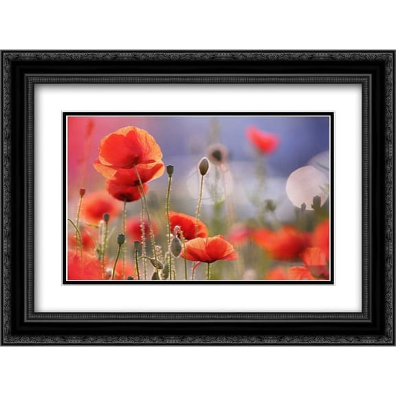 Poppy Delight 2x Matted 24x18 Black Ornate Framed Art Print by Raimond, Roeselien
