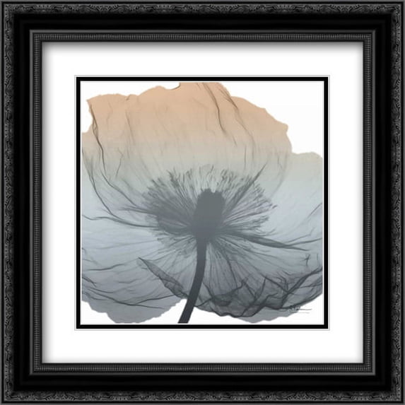 Poppy Earthy Beauty 2x Matted 20x20 Black Ornate Framed Art Print by Koetsier, Albert