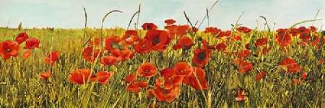 Poppy Field Canvas Art - Luca Villa (12 x 36)