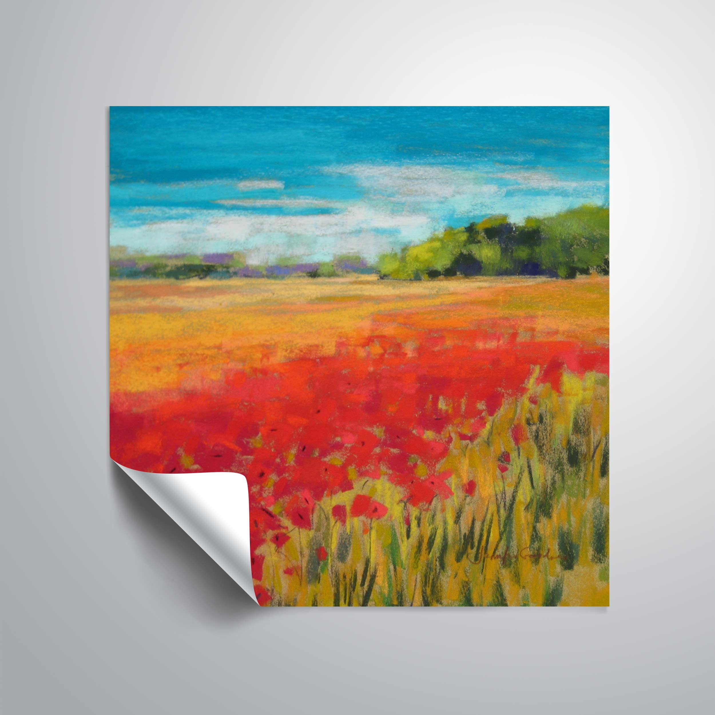 Poppy Field