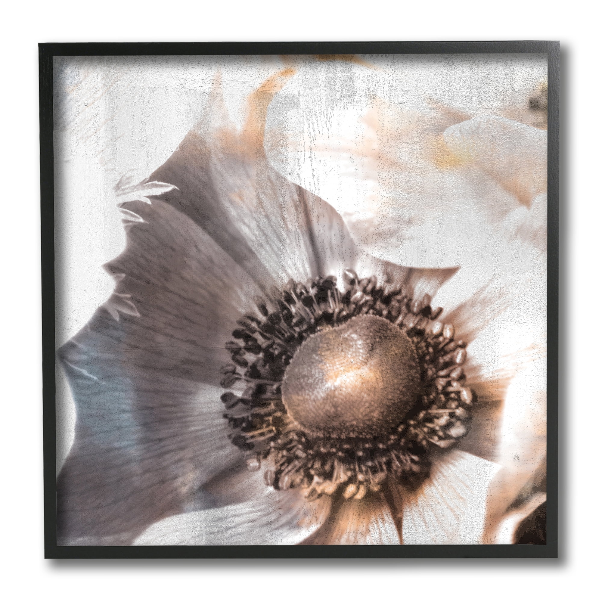 Stupell Industries Poppy Flower Close Up Floral Petal Detail,12 x 12,Designed by Kim Allen