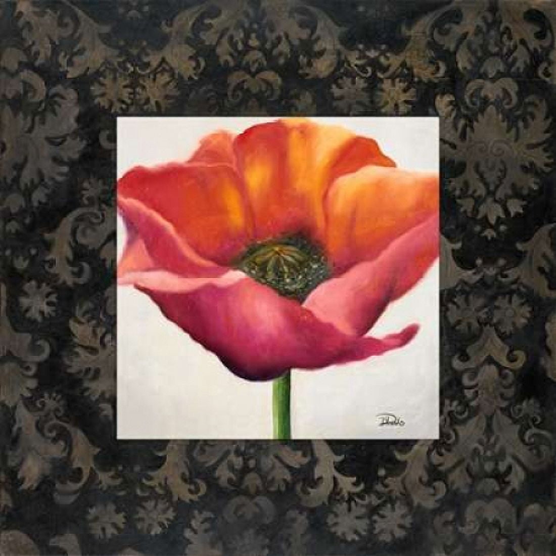 Poppy Flower I Canvas Art - Patricia Pinto (24 x 24)