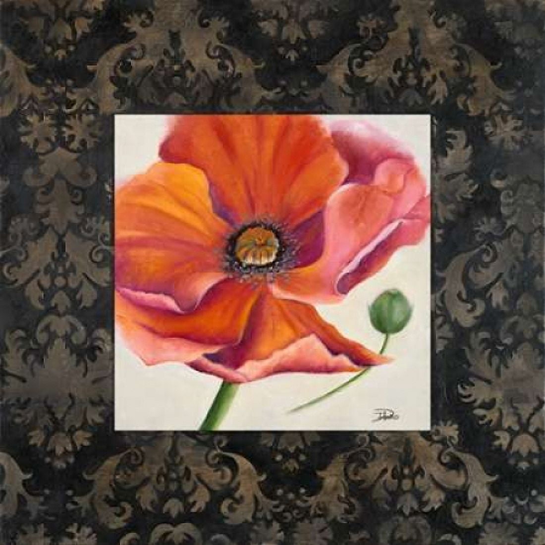Poppy Flower II Canvas Art - Patricia Pinto (24 x 24)
