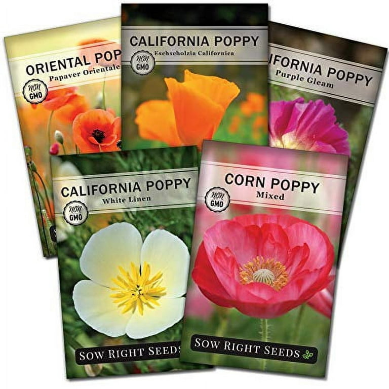 Poppy Flower Seed Collection - Non GMO Varieties - 5 Count