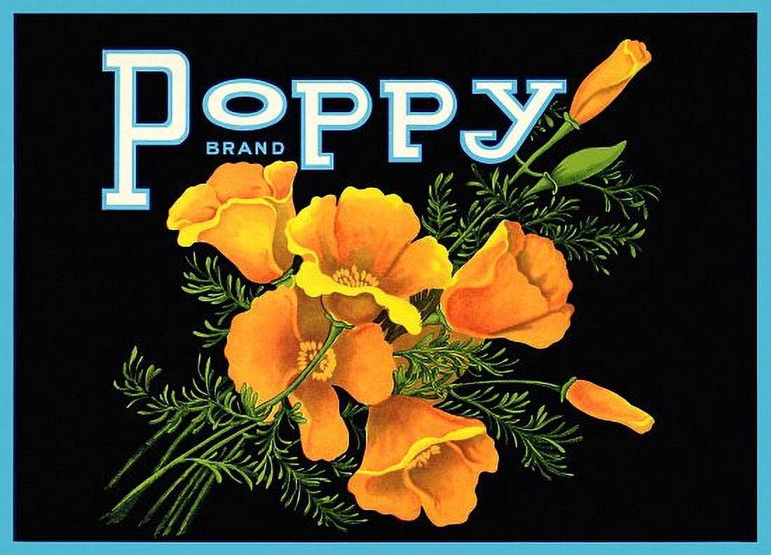 Poppy Flowers label Canvas Art - (36 x 54)
