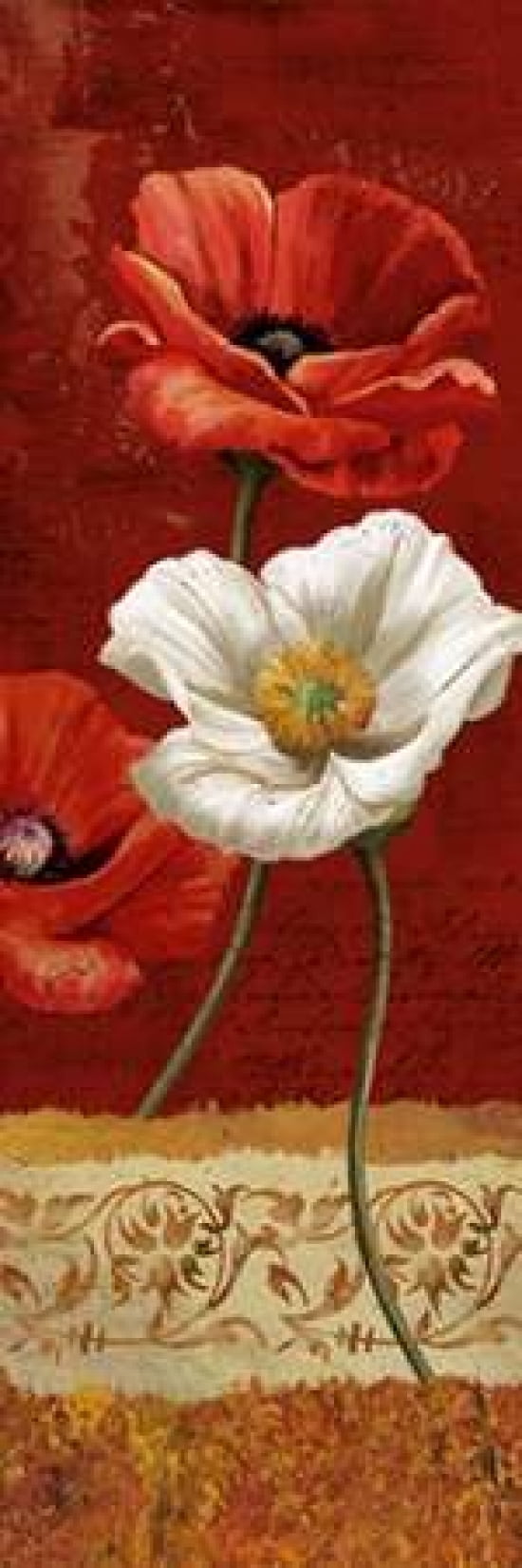 Poppy Gestures II Canvas Art - Conrad Knutsen (12 x 36)
