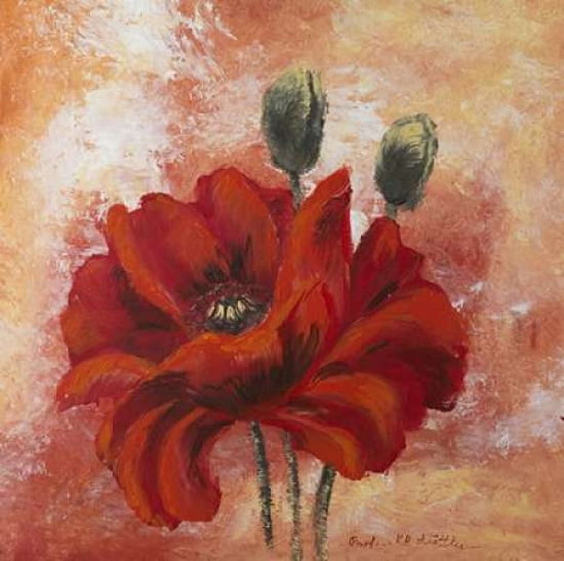 Poppy I Canvas Art - Katharina Schottler (24 x 24)