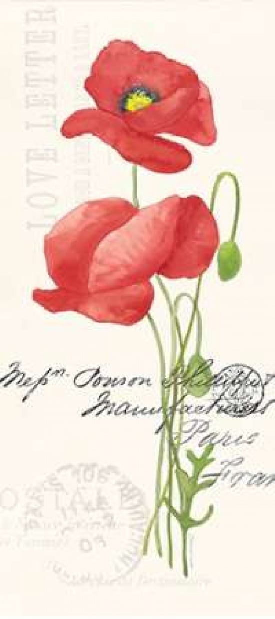 Poppy I Canvas Art - Stephanie Marrott (10 x 20)