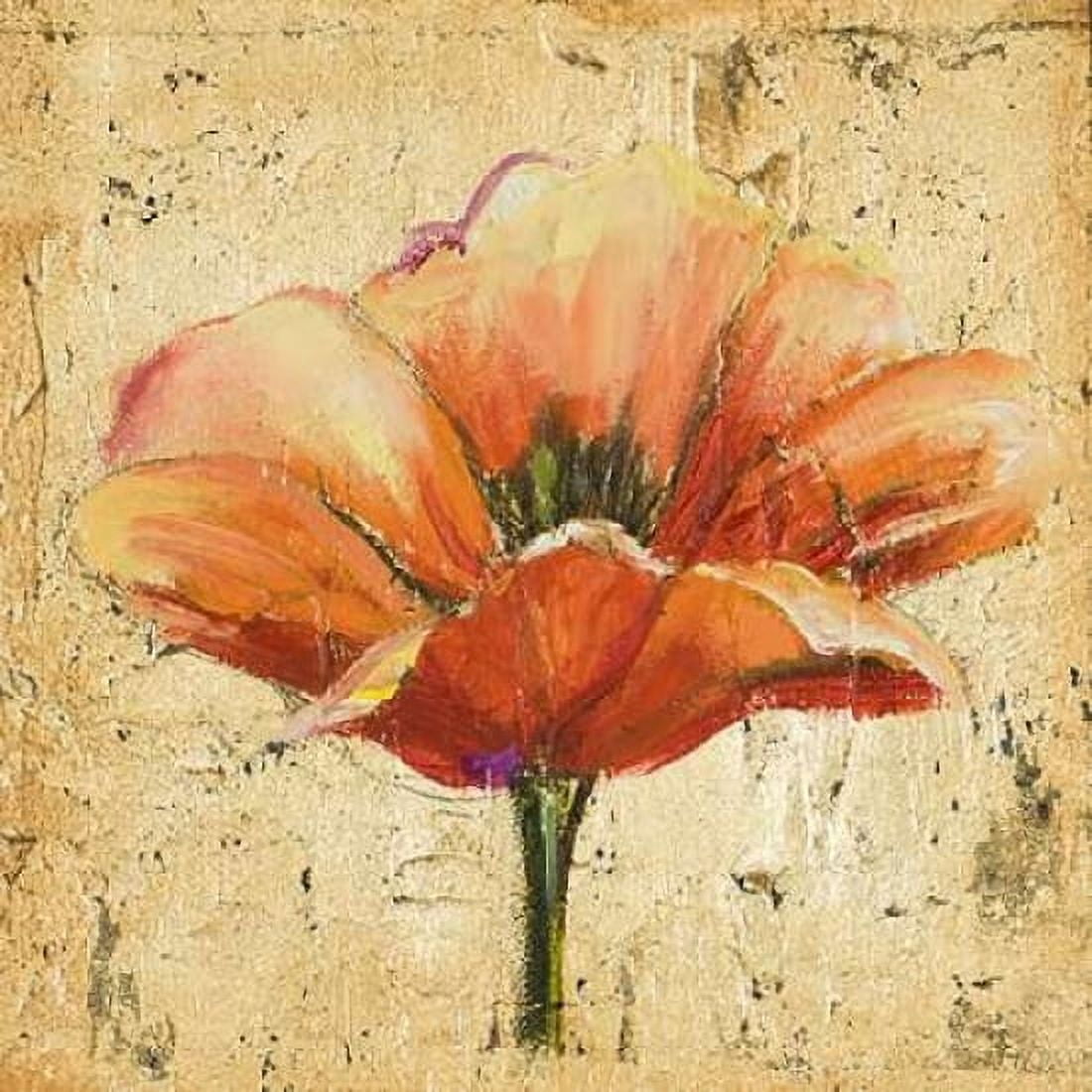 Poppy III Canvas Art - Patricia Pinto (24 x 24)