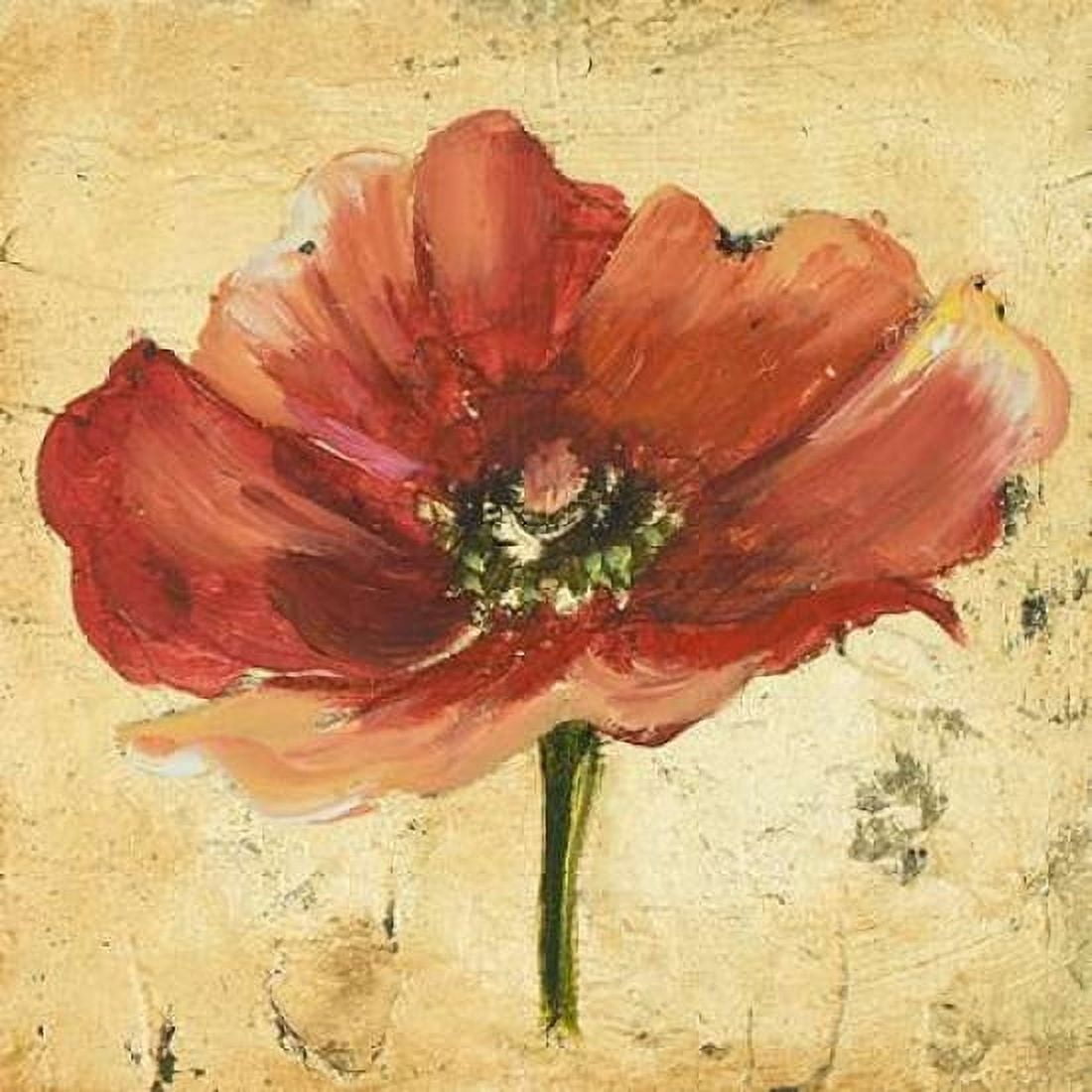 Poppy IV Canvas Art - Patricia Pinto (24 x 24)