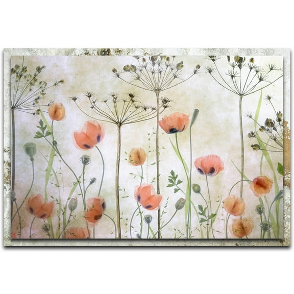 Poppy Meadow Distressed Frame