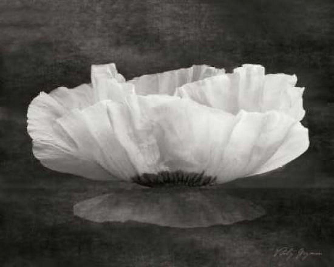 Poppy Mirage Canvas Art - Vitaly Geyman (24 x 30)