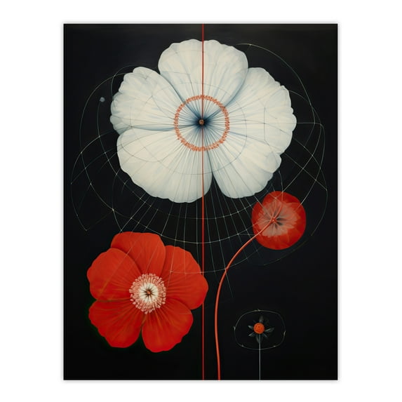 Poppy On Black Striking Wildflowers Red White Petals Floral Painting Unframed Wall Art Print Poster Home Decor Premium