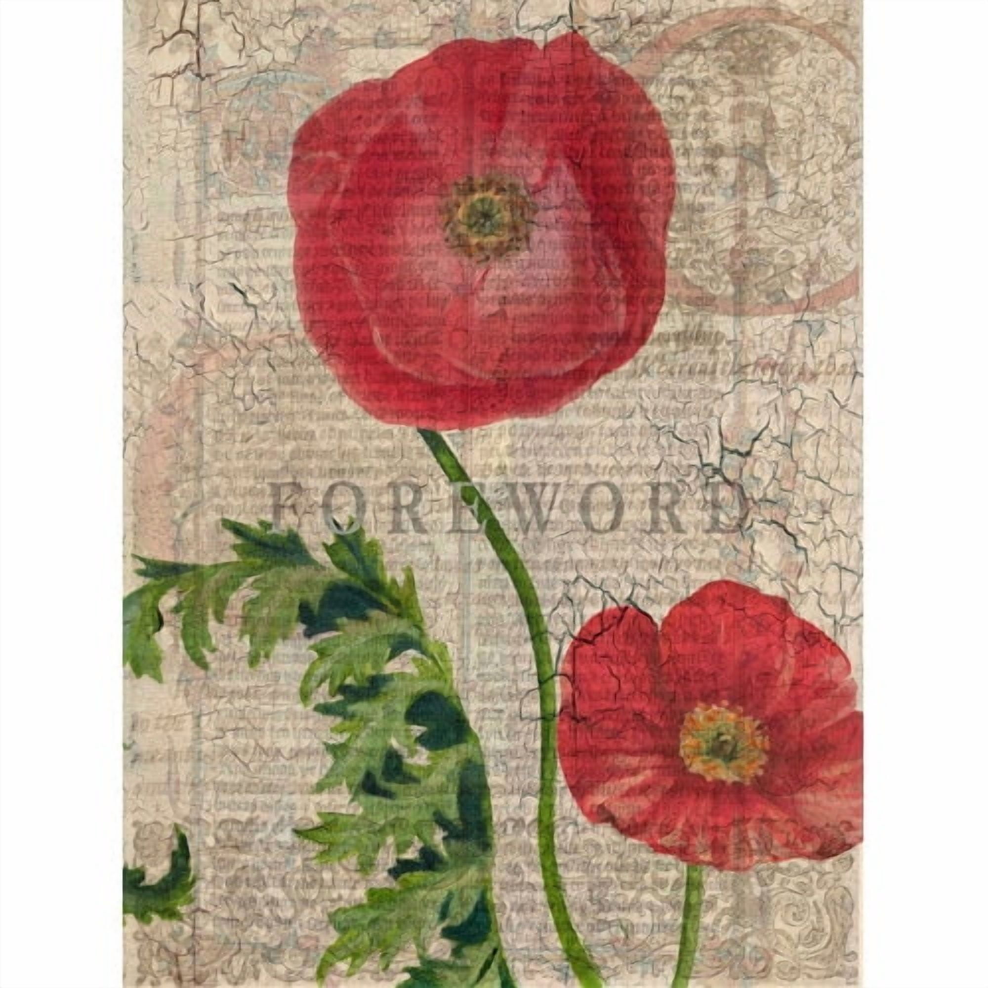 "Poppy Pages II" Painting Print on Wrapped Canvas