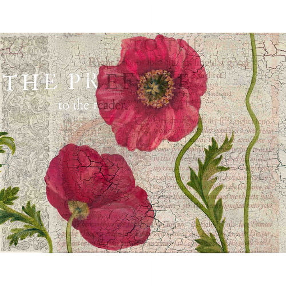 "Poppy Pages LS I" Painting Print on Wrapped Canvas