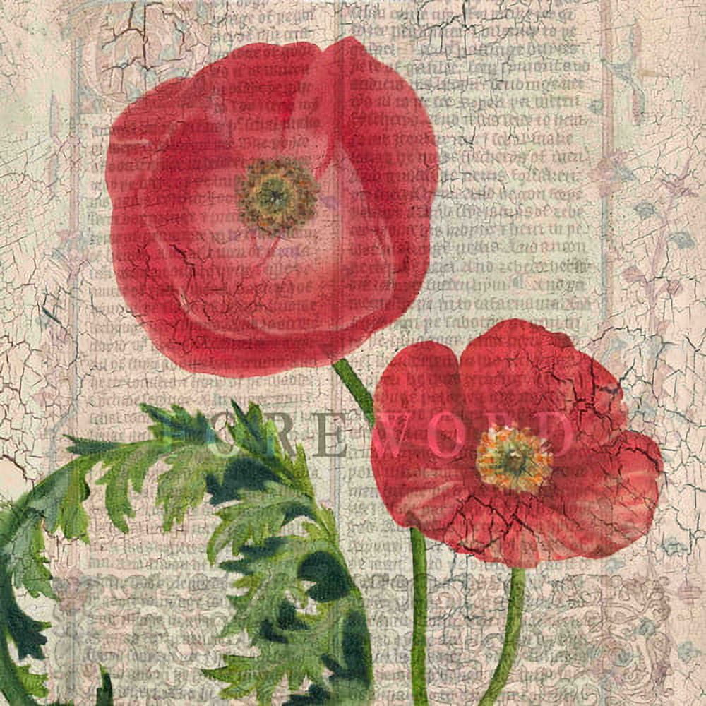 "Poppy Pages Square II" Painting Print on Wrapped Canvas