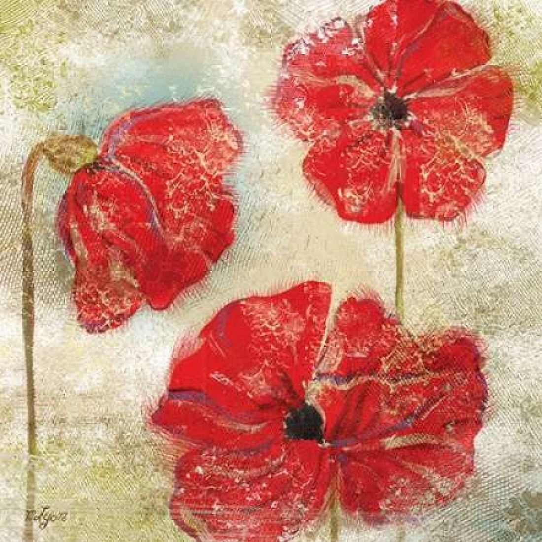 Poppy Passion II Canvas Art - Rebecca Lyon (24 x 24)
