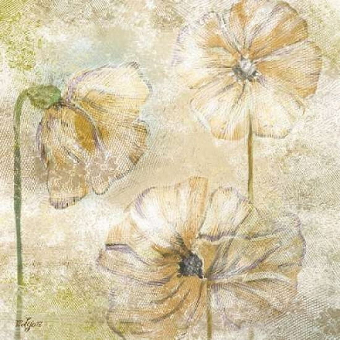 Poppy Passion Neutral II Canvas Art - Rebecca Lyon (24 x 24)