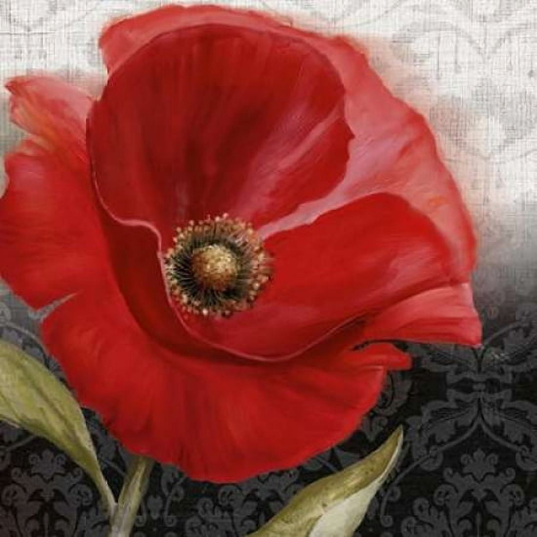 Poppy Perfection I Canvas Art - Conrad Knutsen (24 x 24)