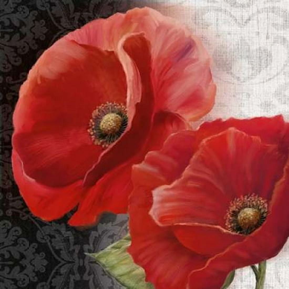 Poppy Perfection II Canvas Art - Conrad Knutsen (24 x 24)