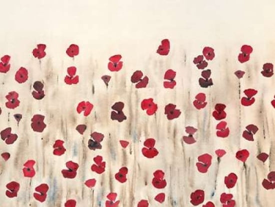Poppy Profusion Canvas Art - Simon Fairless (18 x 24)