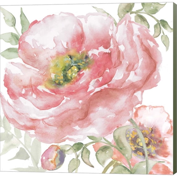 Poppy Romance I by Tre Sorelle Studios, Canvas Wall Art