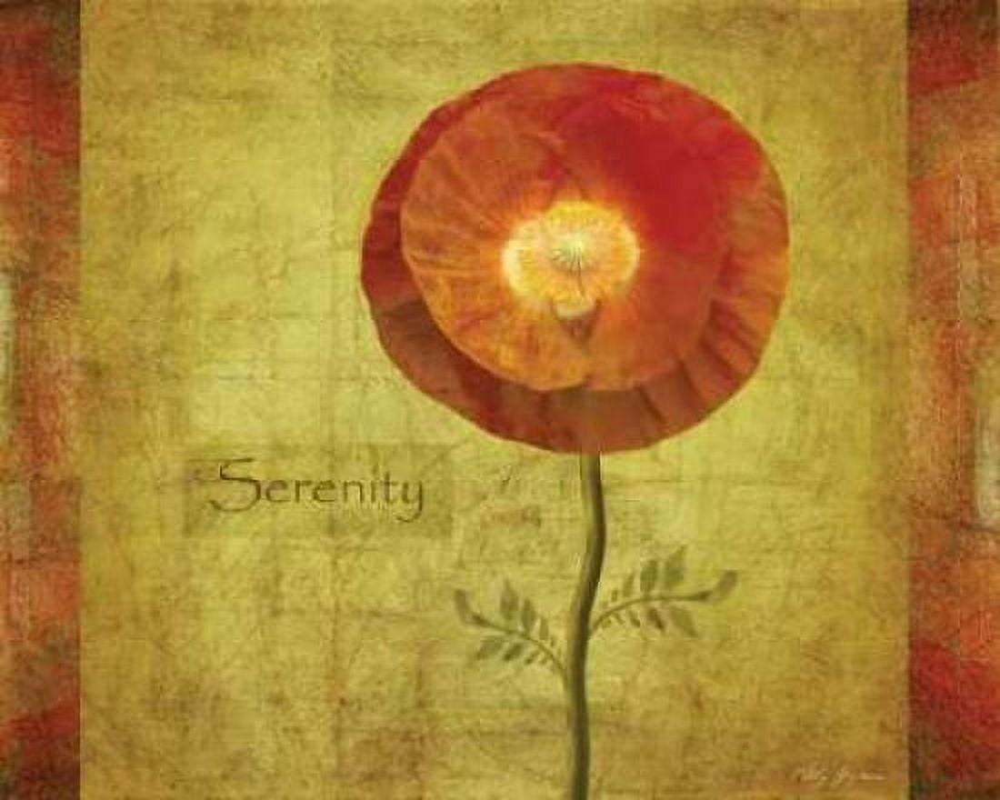Poppy Serenity Canvas Art - Vitaly Geyman (24 x 30)