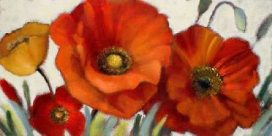 Poppy Splendor I Canvas Art - Lanie Loreth (24 x 48)
