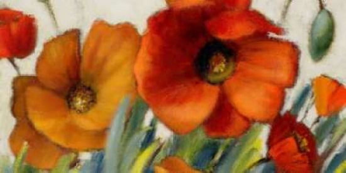Poppy Splendor II Canvas Art - Lanie Loreth (10 x 20)