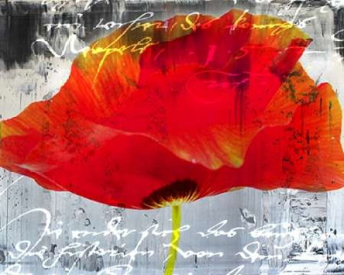 Poppy Story II Canvas Art - Micha Baker (20 x 24)