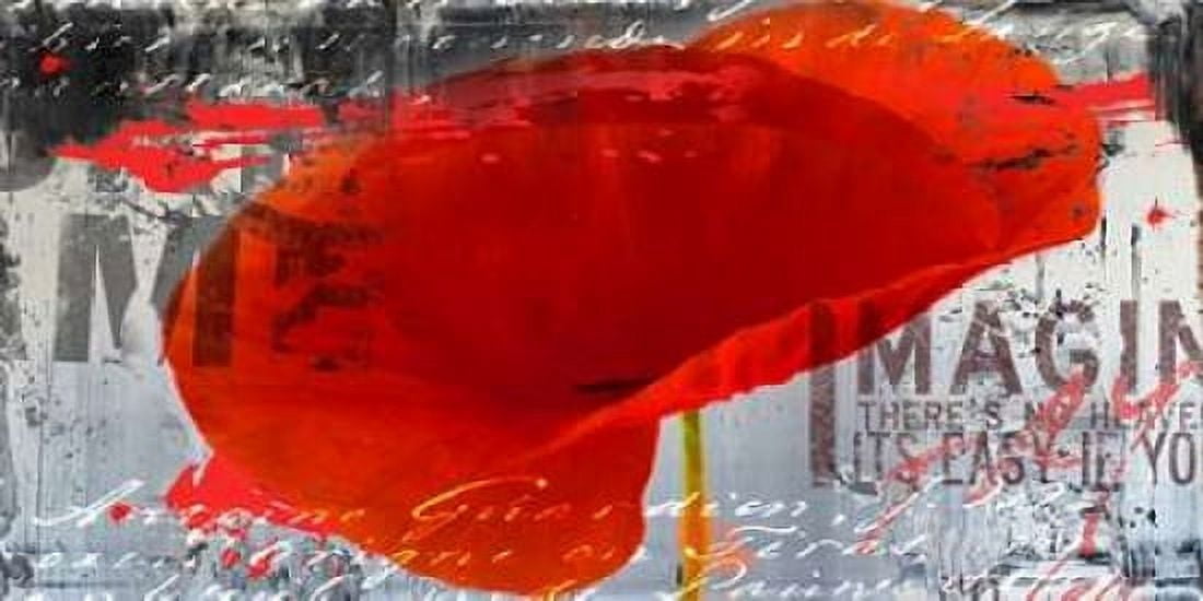 Poppy Story III Canvas Art - Micha Baker (10 x 20)