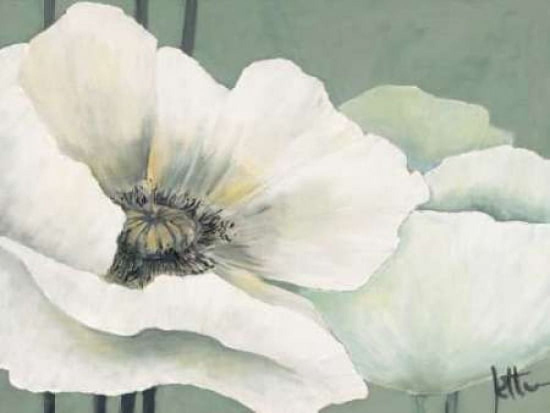 Poppy in Green I Canvas Art - Jettie Roseboom (22 x 28)